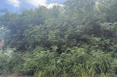 721 Strawberry Hill Ki 1