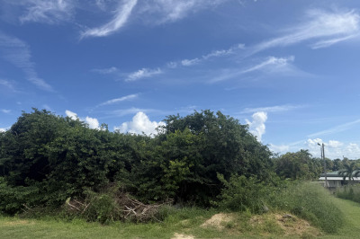 685 Strawberry Hill Ki 1