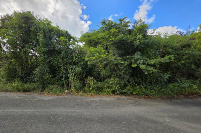 304-d Barren Spot Qu 1