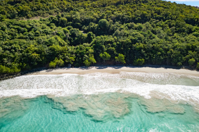 11-2 Botany Bay We 1