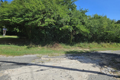 425 Barren Spot Qu 1