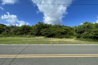 42-n Whim (two Will) We 1