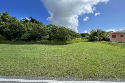 42-g Whim (two Will) We 1