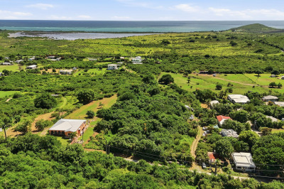 1 Sally's Fancy Ea 1