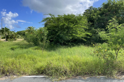 42-f Whim (two Will) We 1