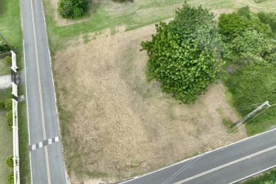 41-l Whim (two Will) We 1