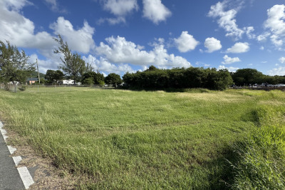 42-b Whim (two Will) We 1