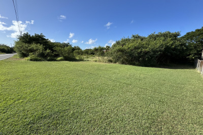 41-p Whim (two Will) We 1