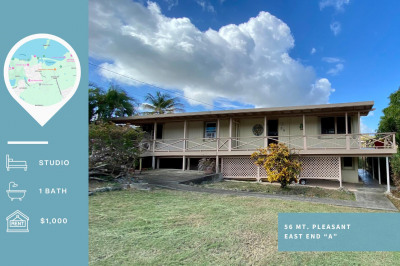 56 Mt. Pleasant Ea 1