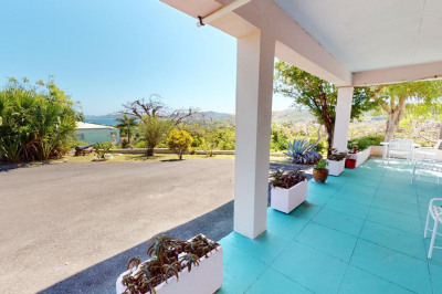 308 Judith's Fancy Co 1