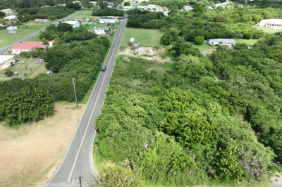 41-k Whim (two Will) We 1