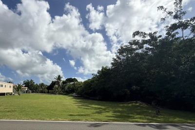 41-b Whim (two Will) We 1