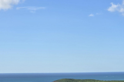 24 Spring Garden Co 1