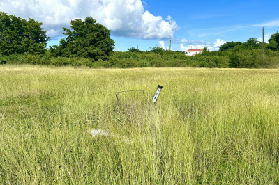 118 Enfield Green Pr 1