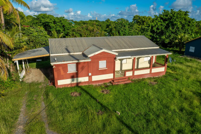 52-q Whim (two Will) We 1