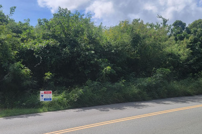 103 Mt. Pleasant Ea 1