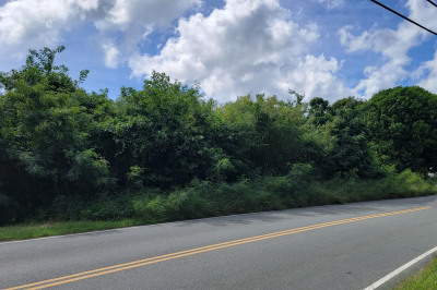 103 Mt. Pleasant Ea 1