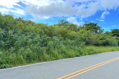 42u Whim (two Will) We 1