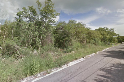 Rem 90-90c Two Brothers We 1