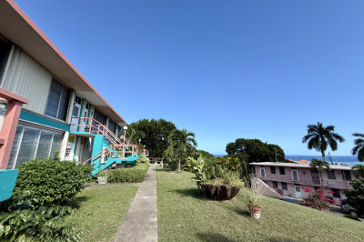 32 Orange Grove Co 1