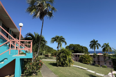 33 Orange Grove Co 1