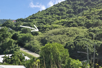 95 A Mt. Welcome Ea 1