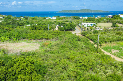 344 Cotton Valley Eb 1