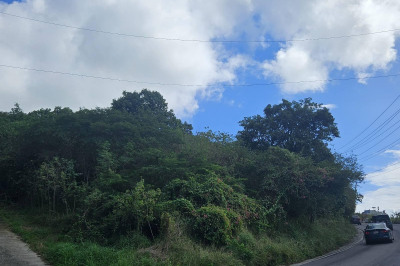 50-3 Orange Grove Co 1