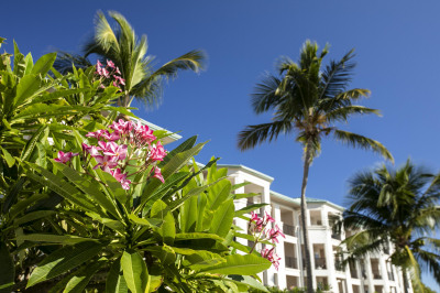 2101-10 Nazareth Rh 1