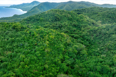 1a Spring Garden Na 1