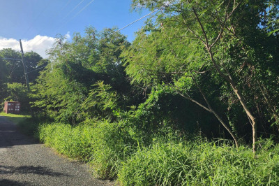 85 Mt. Pleasant Ea 1