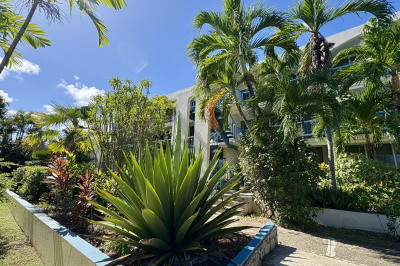 37 Orange Grove Co 1