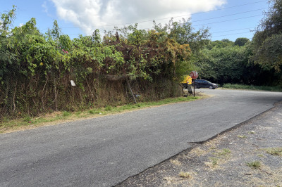 8z Constitution Hill Co 1