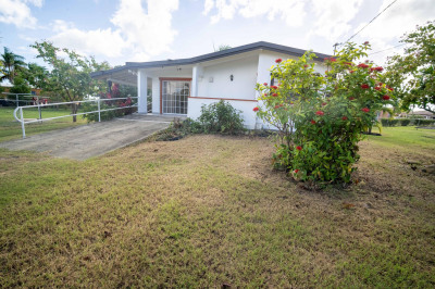 126-c Whim (two Will) We 1