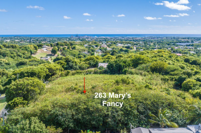 263 Mary's Fancy Qu 1