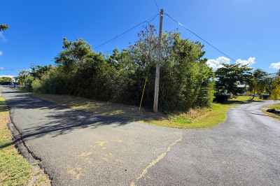 154 Judith's Fancy Qu 1