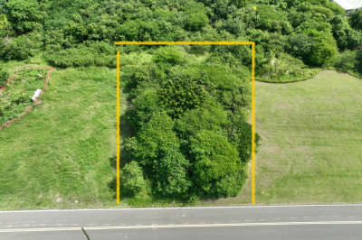 41-e Whim (two Will) We 1