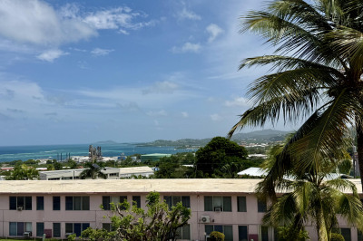 81 Orange Grove Co 1