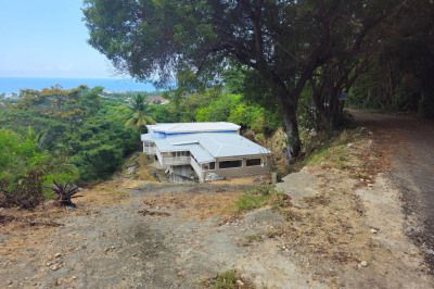 79-b La Grande Princesse Co 1