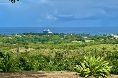 16c Whim (two Will) We 1