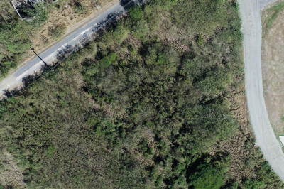 288 Enfield Green Pr 1