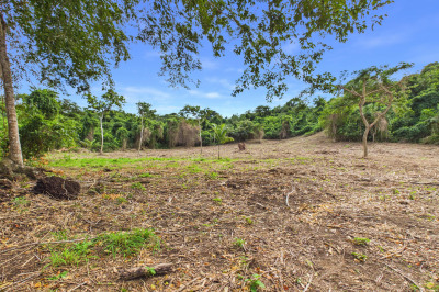 9-h Montpellier Pr 1