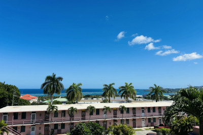 39 Orange Grove Co 1