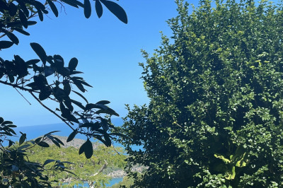 61-b Caret Bay Lns 1