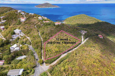 25e-d No.1 Mandahl Gns 1