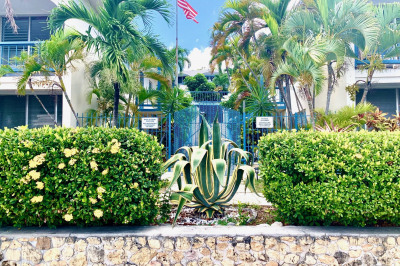 40 Orange Grove Co 1