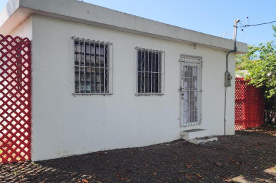 76-g Whim (two Will) We 1