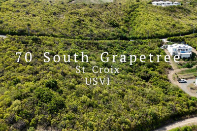 70 South Grapetree Eb 1