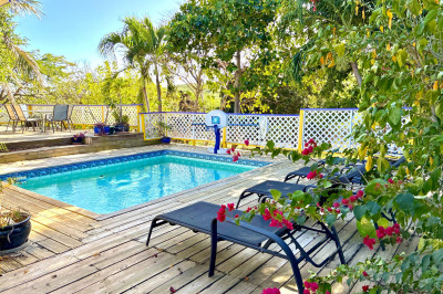 17b Sally's Fancy Ea 1