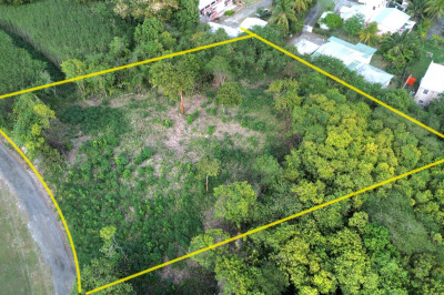 173 Morningstar Qu 1